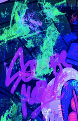 Scrooge Mc Duck Money Background