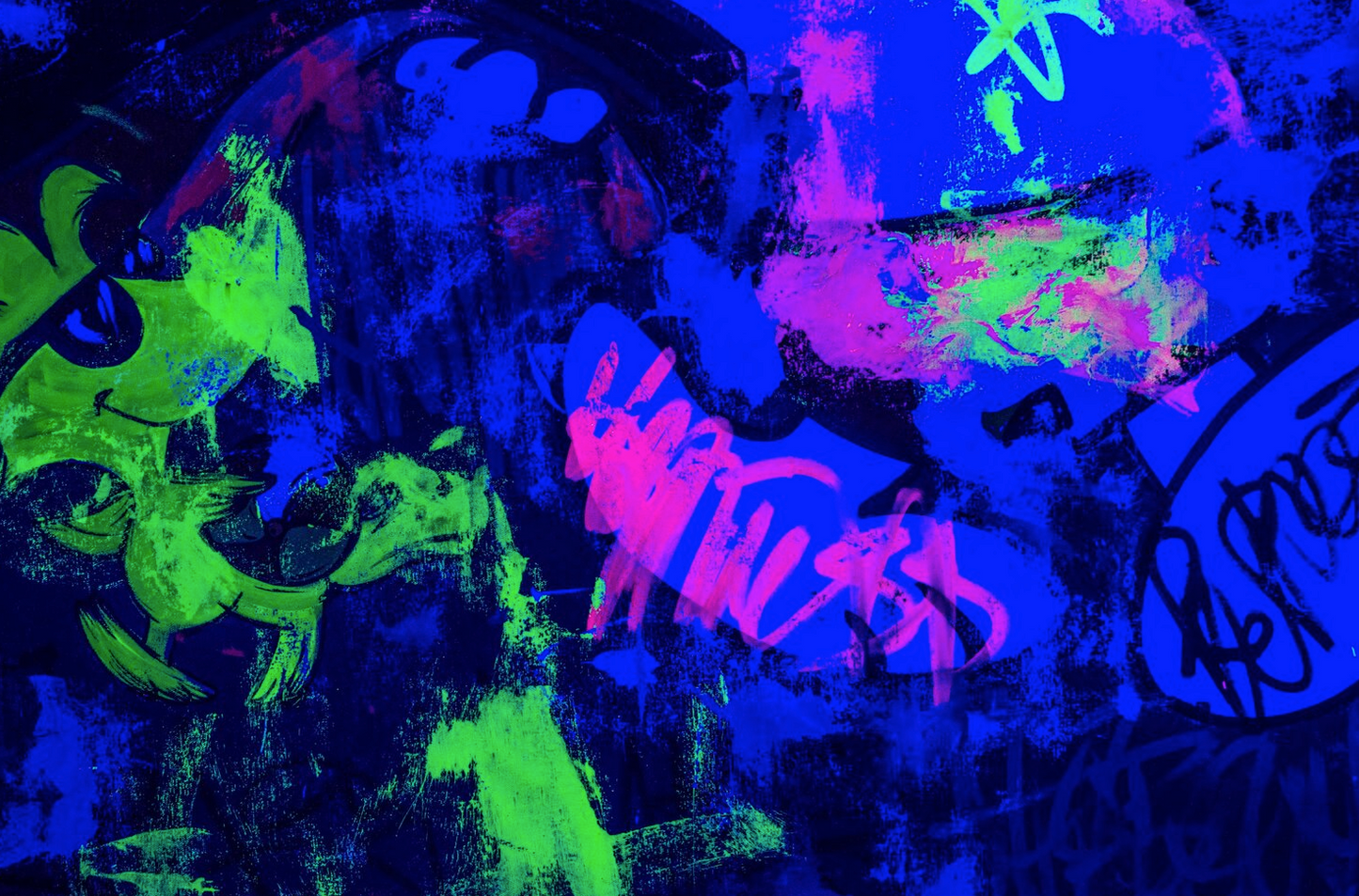 Snoopy and Woodstock in Enjoy Every Day