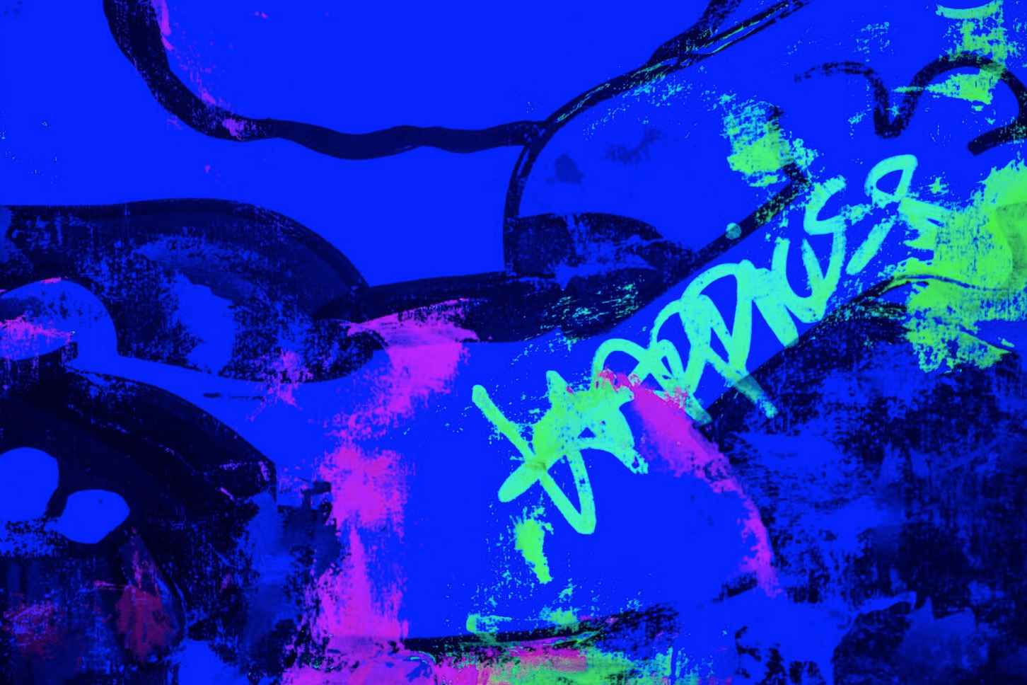 Snoopy and Woodstock in Enjoy Every Day