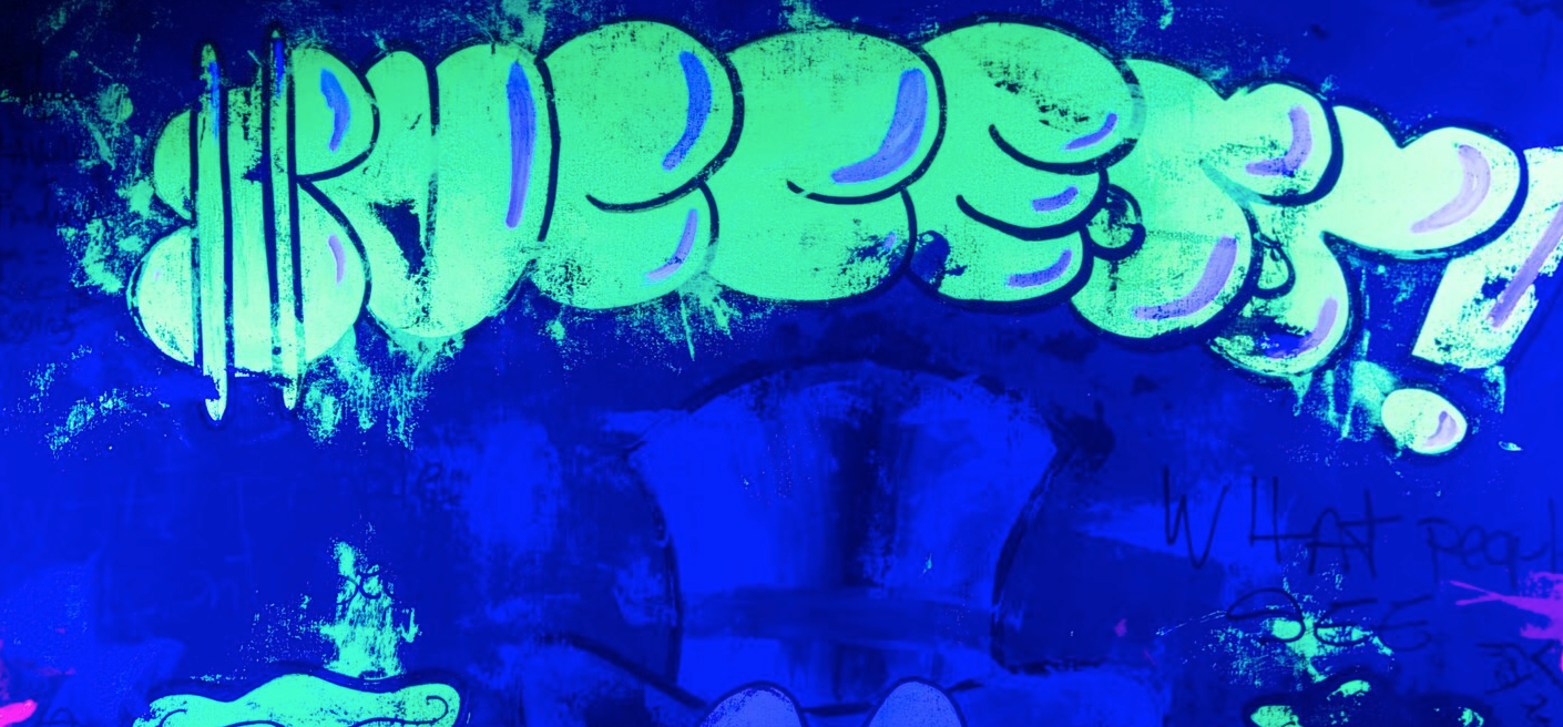 The Money Bag Illusion Scrooge Mc Duck