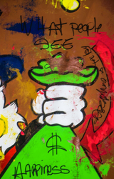 The Money Bag Illusion Scrooge Mc Duck