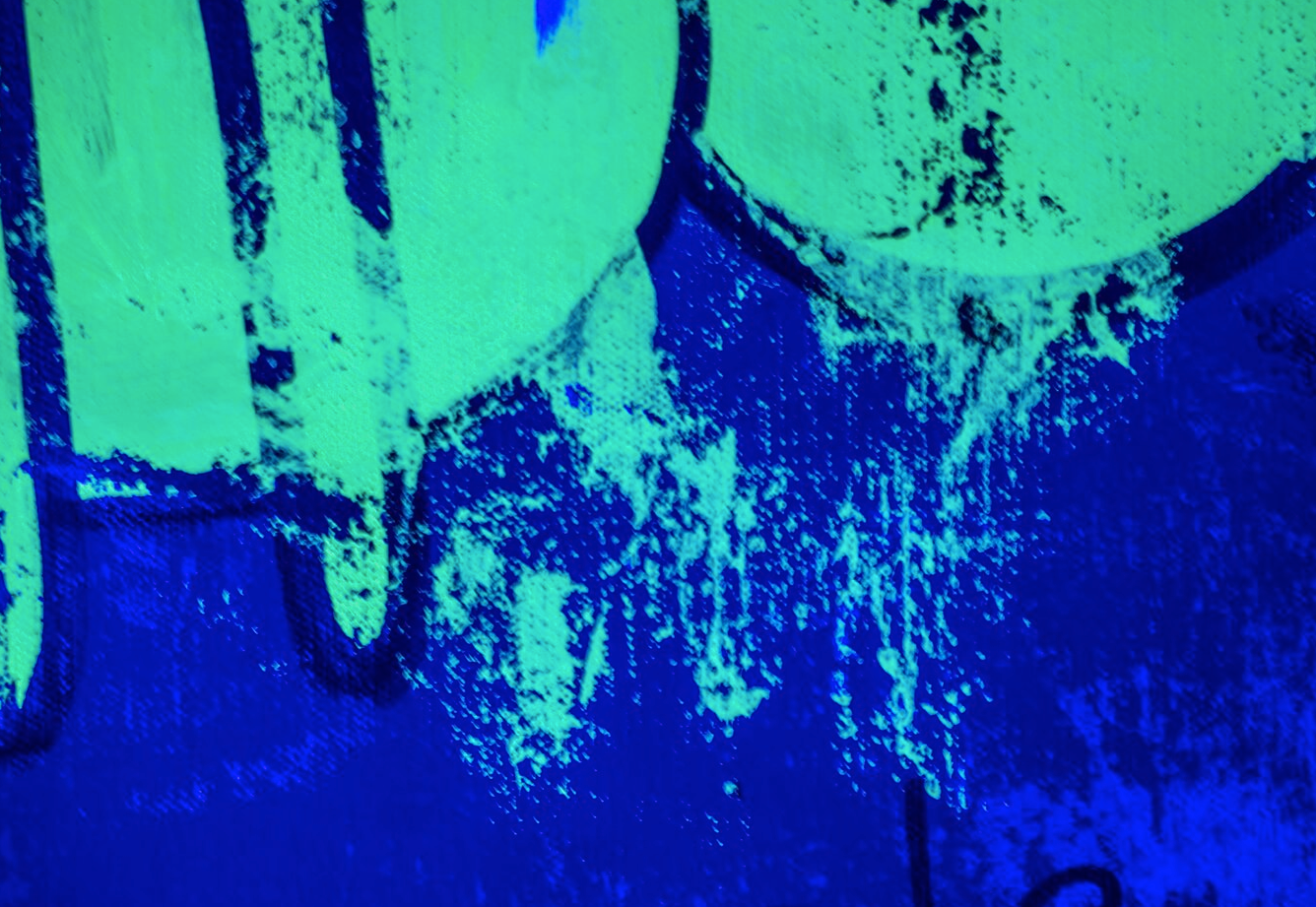 The Money Bag Illusion Scrooge Mc Duck