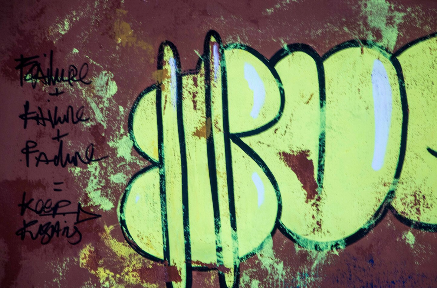 The Money Bag Illusion Scrooge Mc Duck