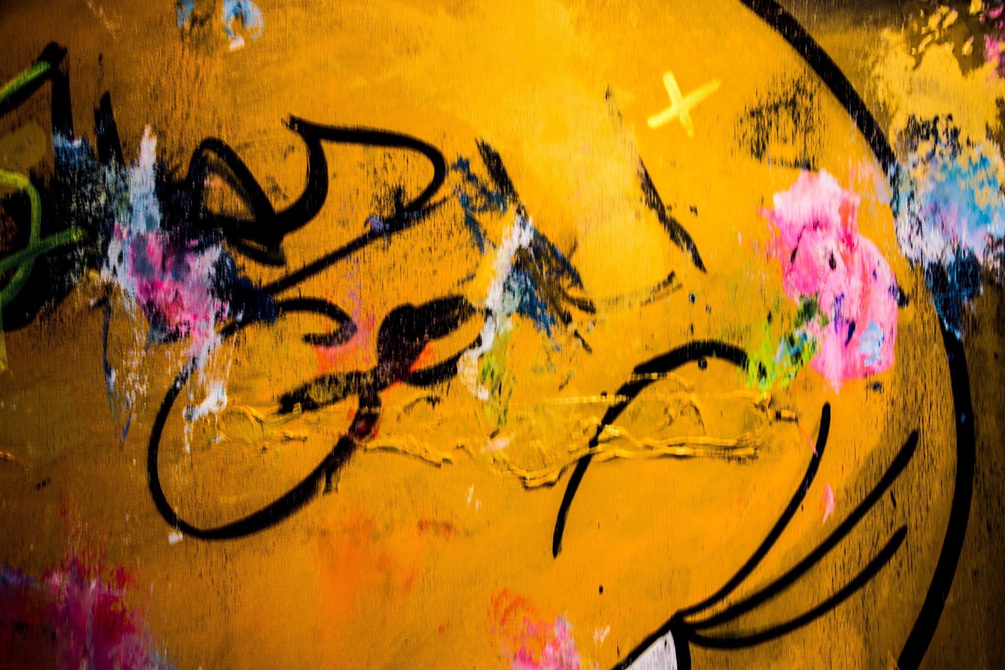 Stay Gold Piolin portrait